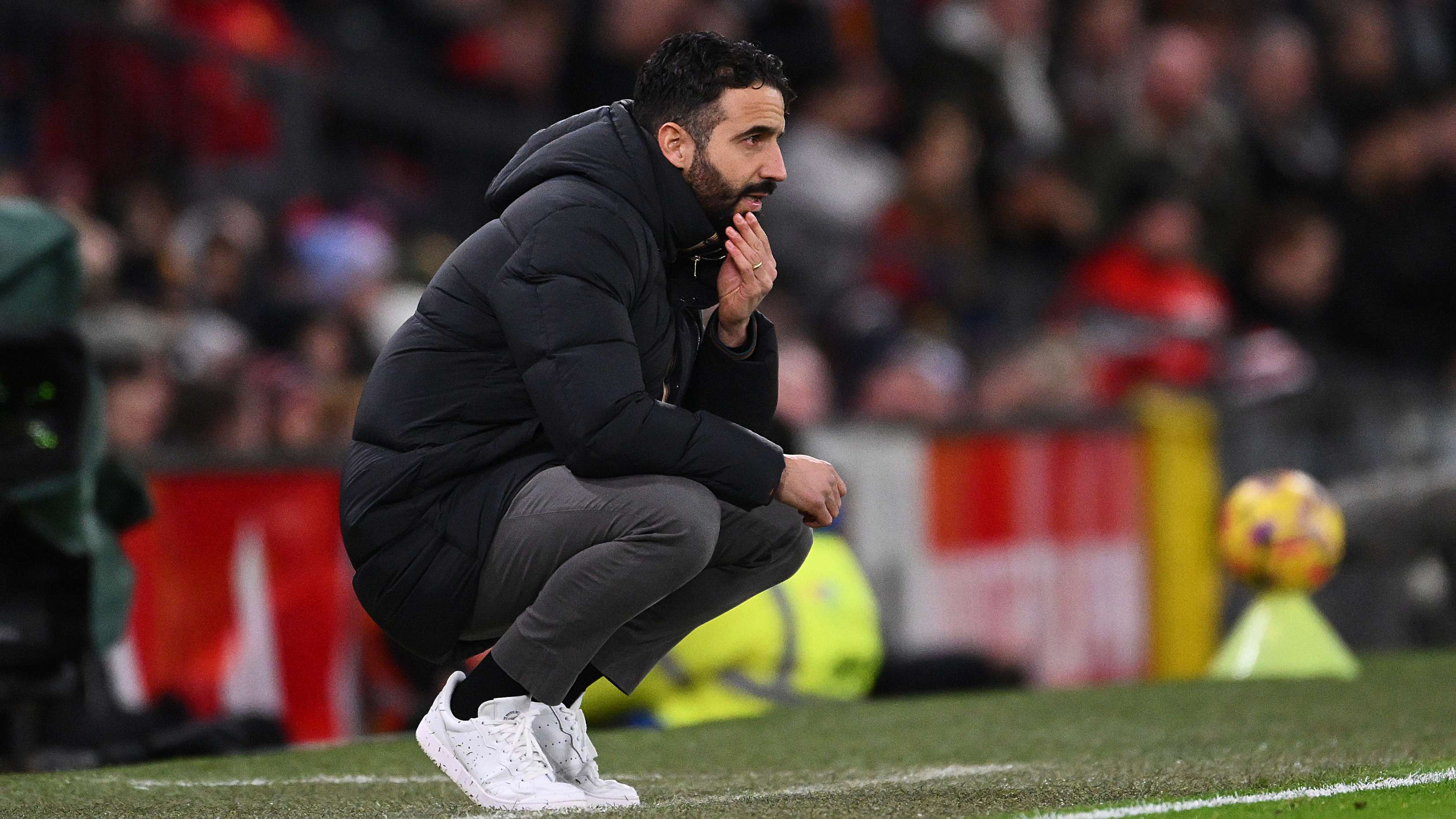 德尔加多的 德尔加多的